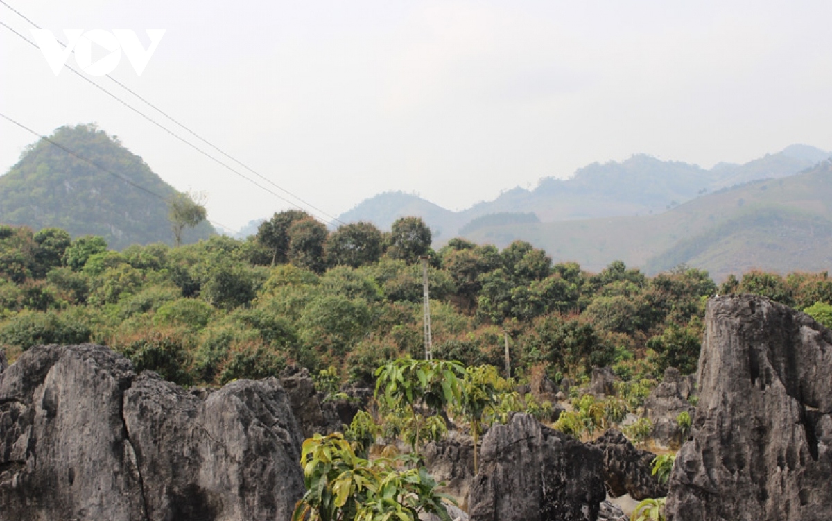 son la giai bai toan viec lam cho hang chuc ngan lao dong tu tinh ngoai tro ve ra sao hinh anh 2