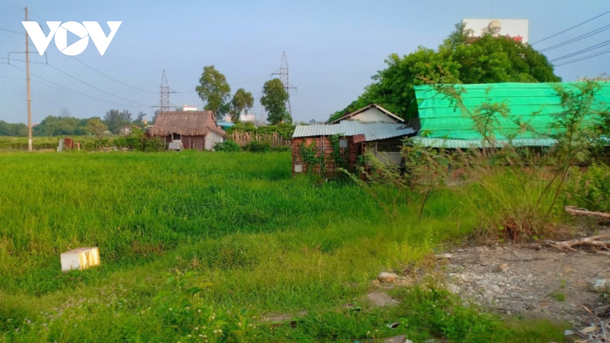 vi sao cac duong su cung phan doi khang nghi giam doc tham du an hoa lan hinh anh 2