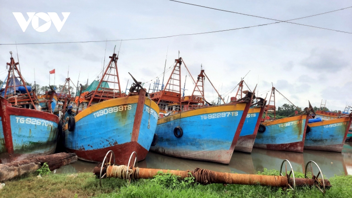 tieu thu hai san gap kho, hon nua so tau ca tien giang nam bo hinh anh 1