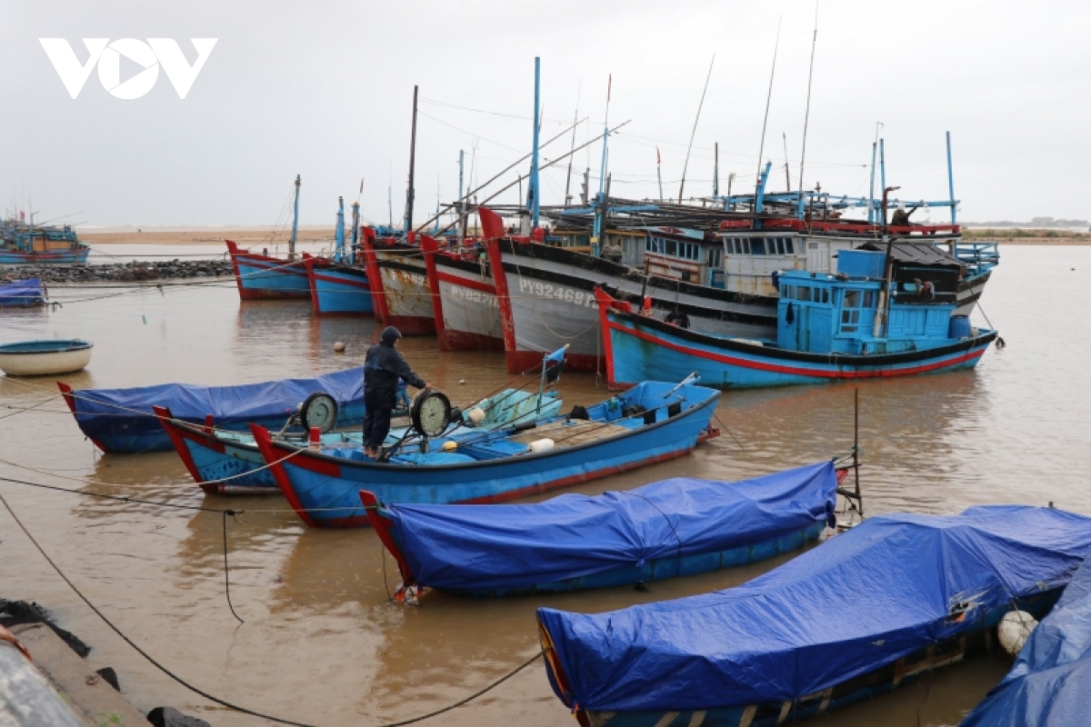 phu yen, binh Dinh khan truong ung pho ap thap nhiet doi, khac phuc hau qua thien tai hinh anh 1