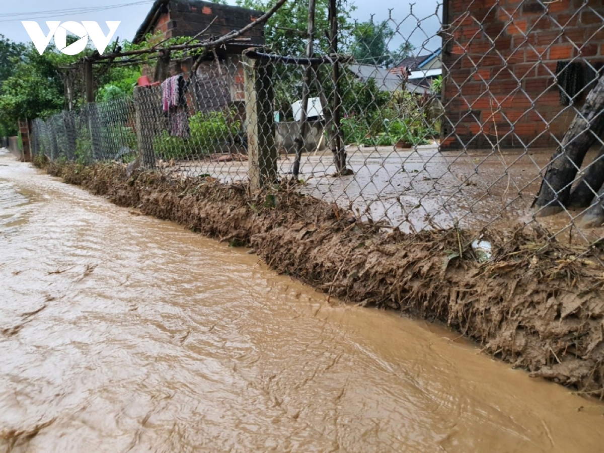 mua lu gay sat lo dat, ngap lut nhieu noi o binh Dinh hinh anh 17