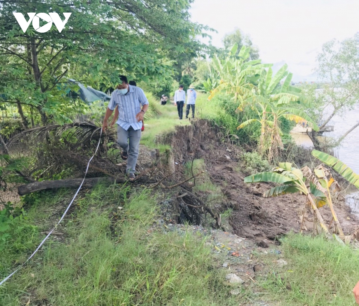 ben tre ton cao bo bao, dong cac cong ung pho voi dinh trieu hinh anh 1