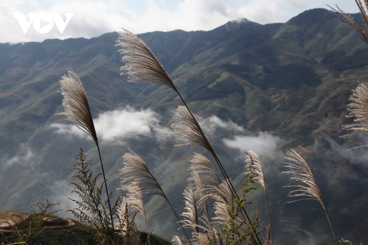 Lên Tà Xùa ngắm 