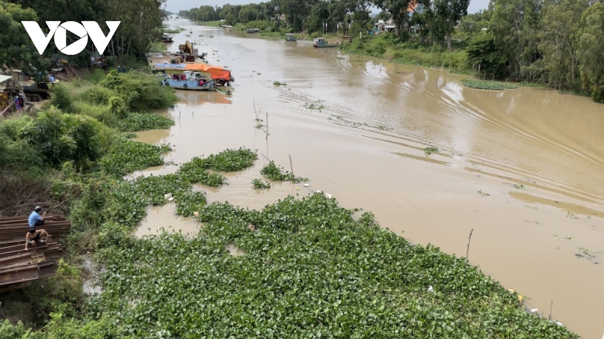 Chơi đùa trên ghe cá, bé gái 3 tuổi rơi xuống sông tử vong