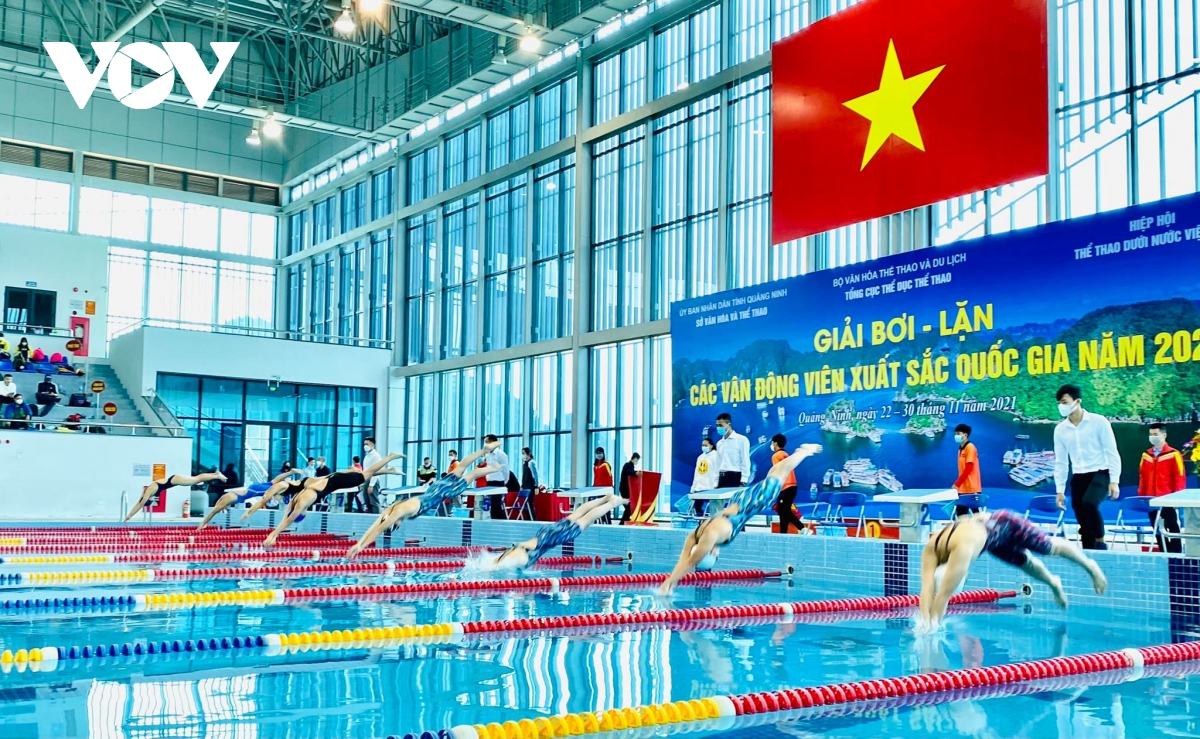Gần 200 vận động viên tham gia Giải Bơi, Lặn VĐV xuất sắc Quốc gia ...