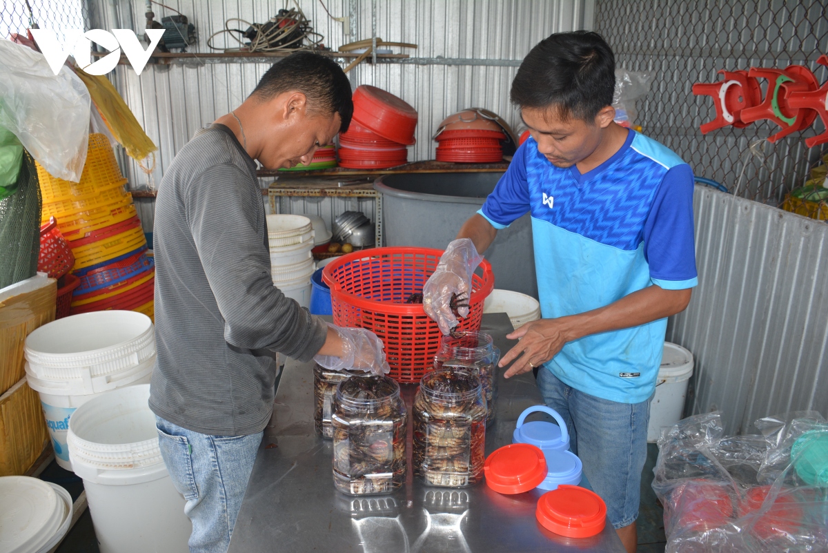 quy trình đưa ba khía muối rạch gốc nổi tiếng gần xa hình ảnh 12 quy trinh dua ba khia muoi rach goc noi tieng gan xa hinh anh 12