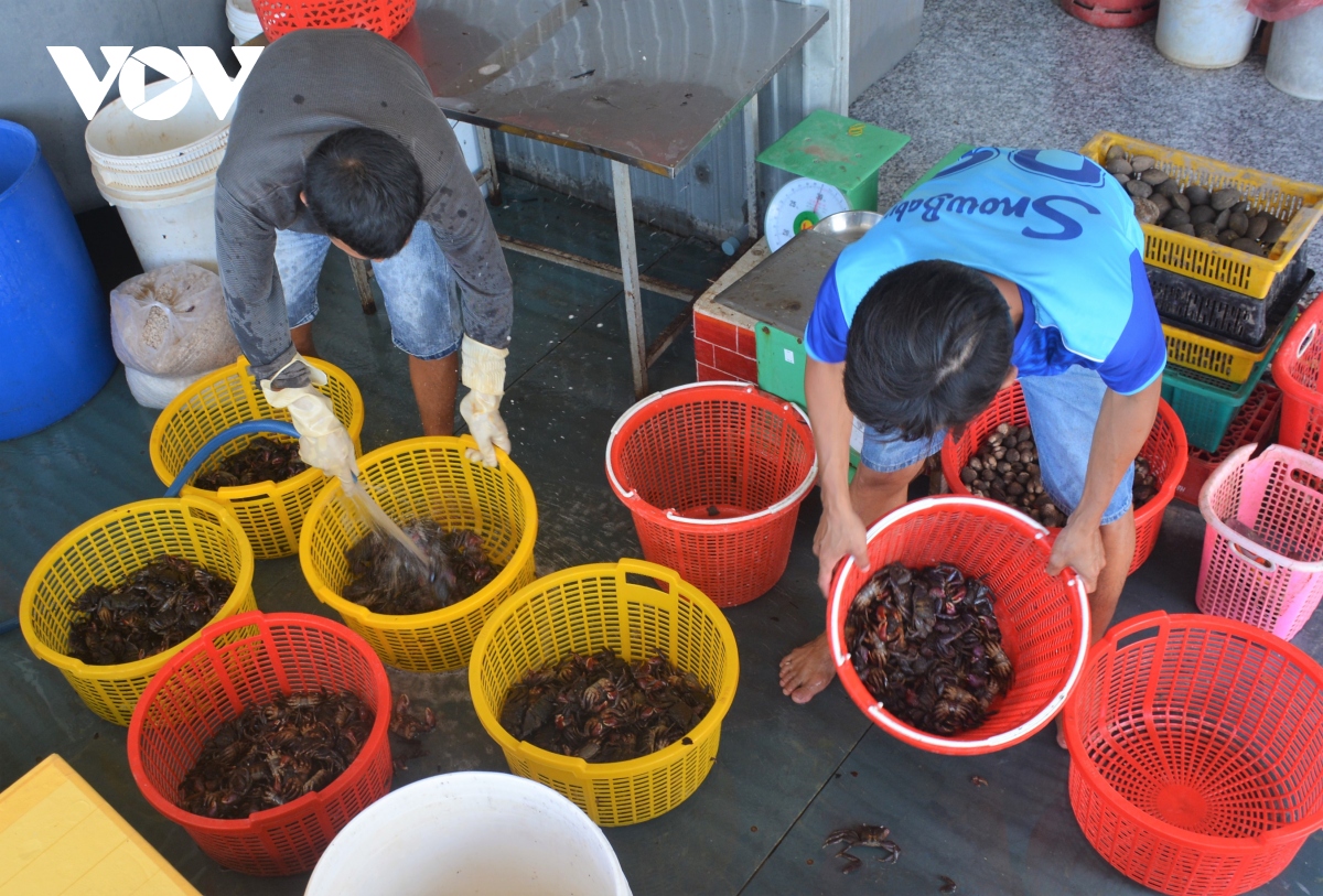 quy trinh dua ba khia muoi rach goc noi tieng gan xa hinh anh 9