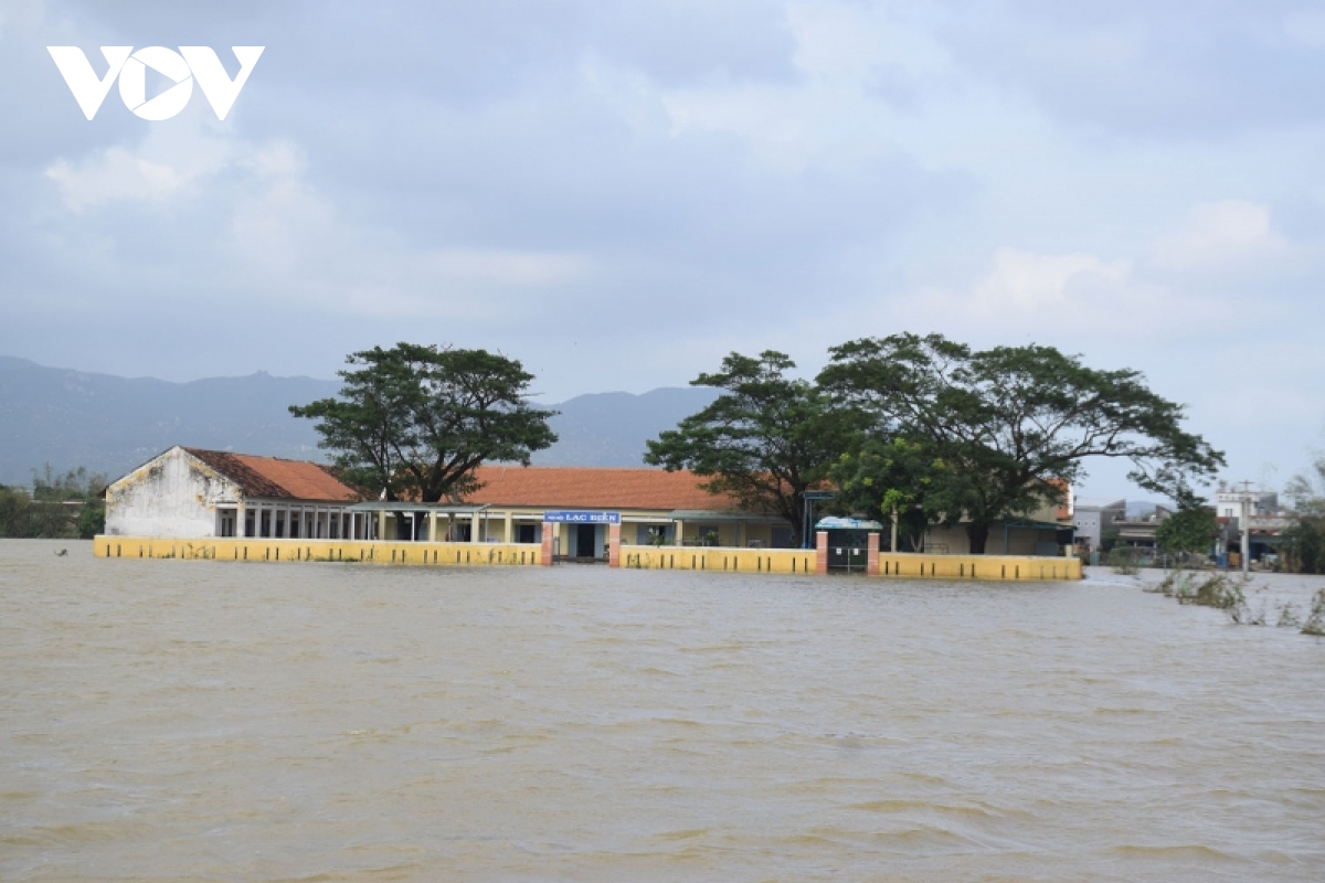 Anh binh Dinh thiet hai nang ne do mua lu hinh anh 11