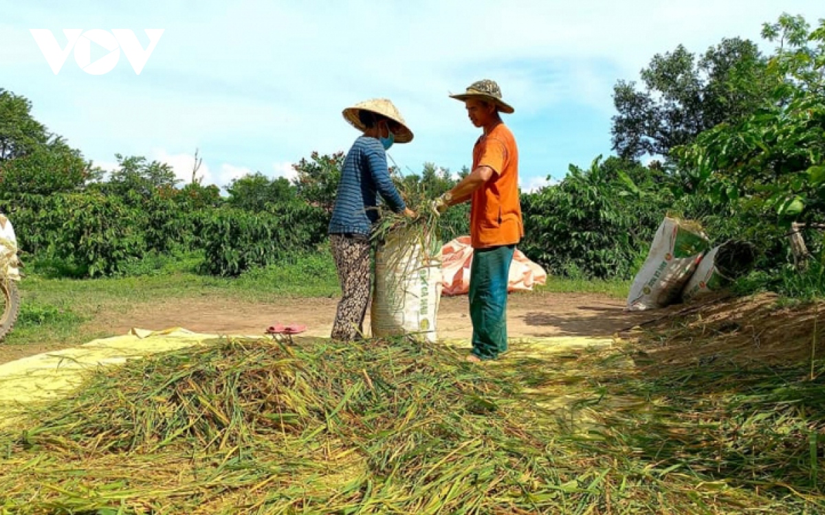 Dak lak binh thuong moi o nhung vung tam dich hinh anh 1