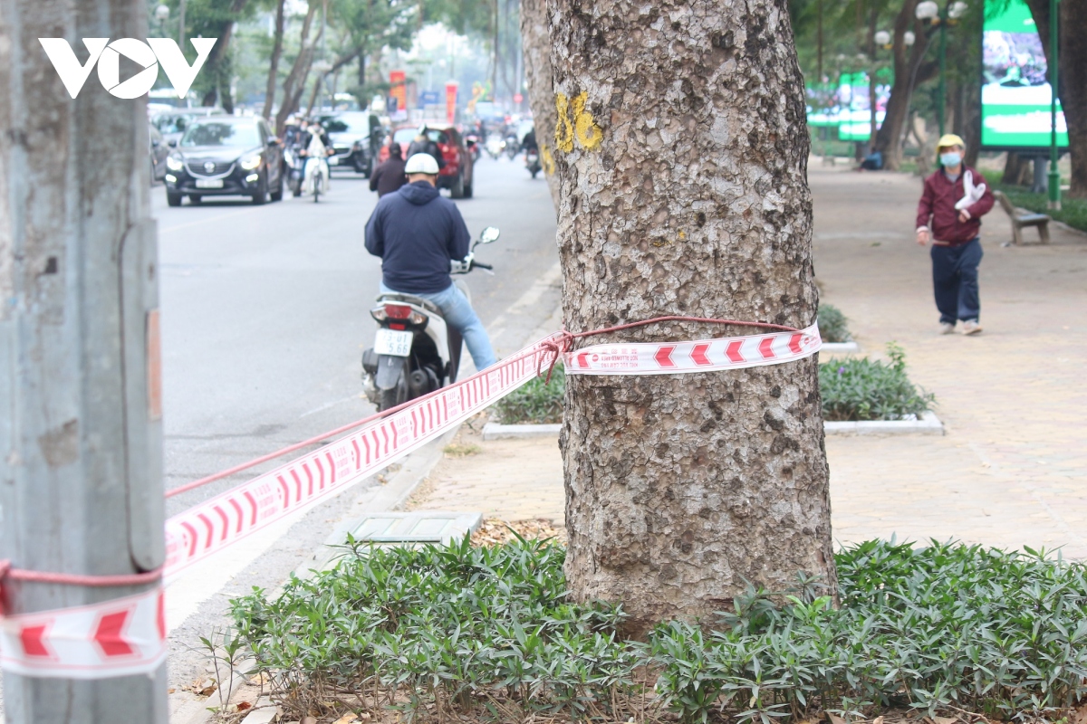 cong vien tren dia ban quan mau cam o ha noi lai dong cua vi dich covid-19 hinh anh 10