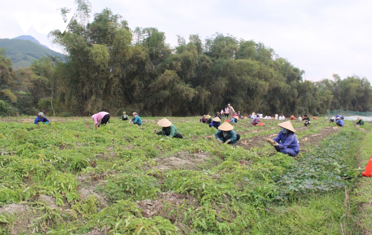 khac phuc bat cap trong ra soat, xac dinh ho ngheo hinh anh 2