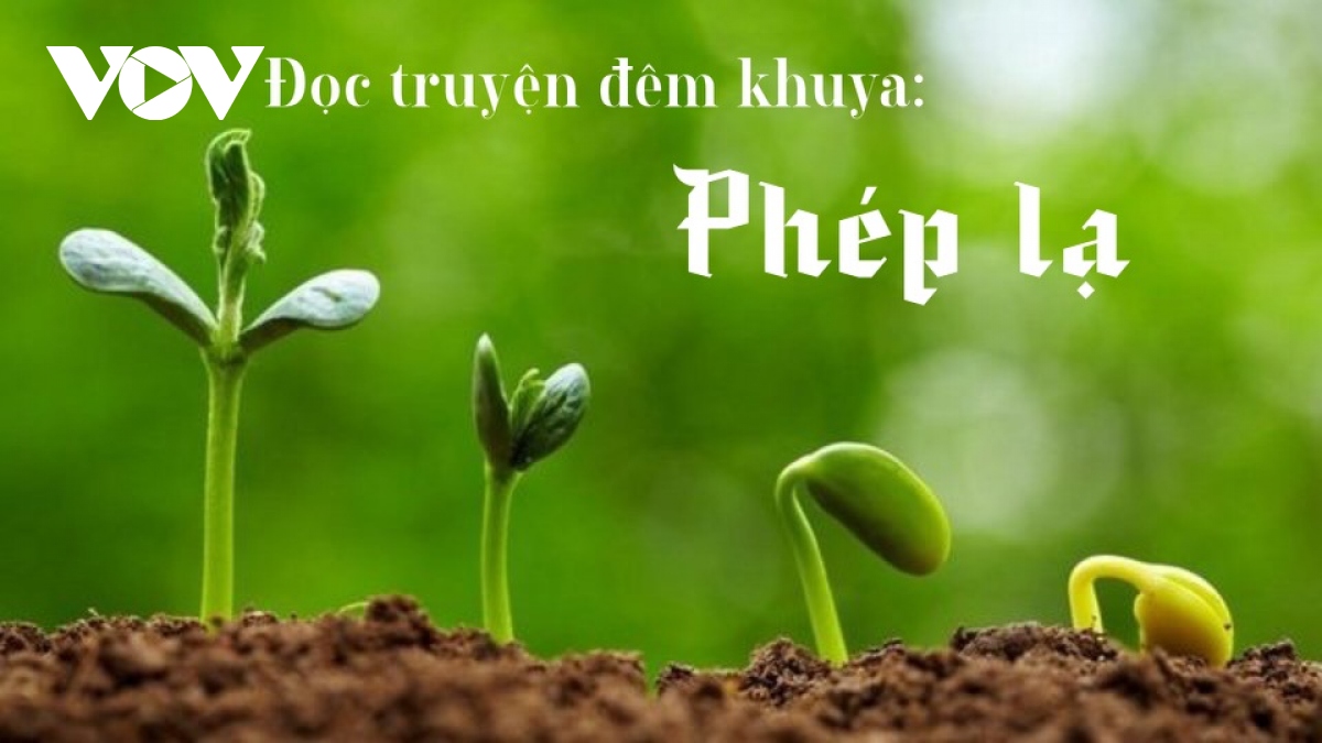 truyen ngan phep la - luat nhan qua hinh anh 1