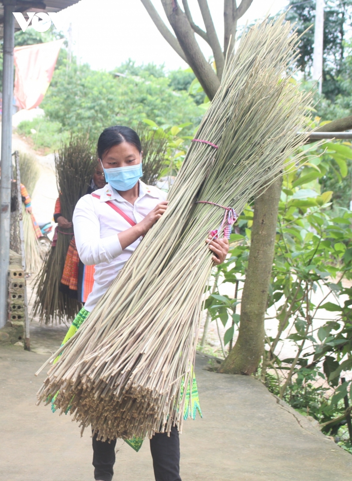 gin giu nghe se lanh, det vai noi reo cao son la hinh anh 2