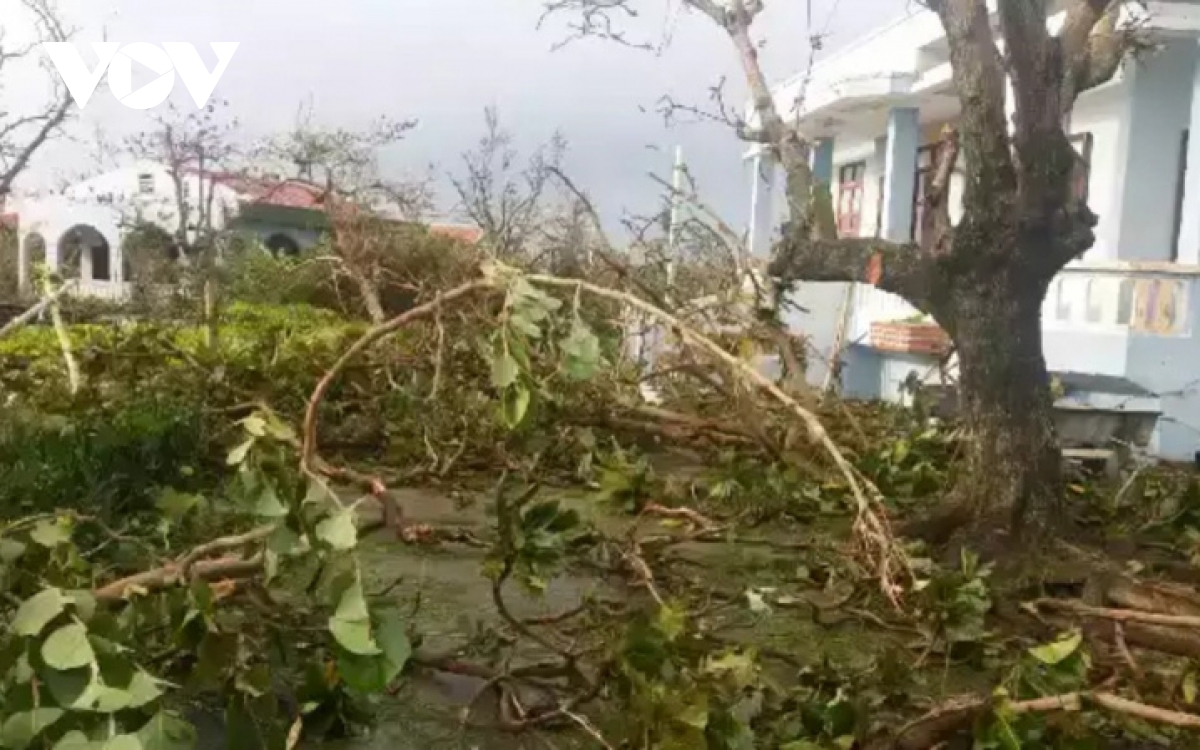 Các tỉnh Nam Trung bộ chủ động ứng phó bão số 9, đảm bảo an toàn tàu thuyền và người dân