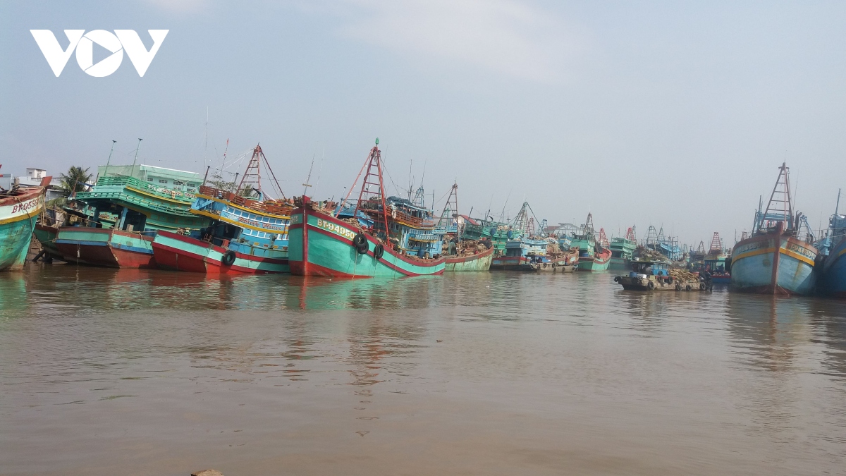 Ung pho voi bao rai, 149 tau ca tren bien cua ben tre chua lien lac duoc hinh anh 1