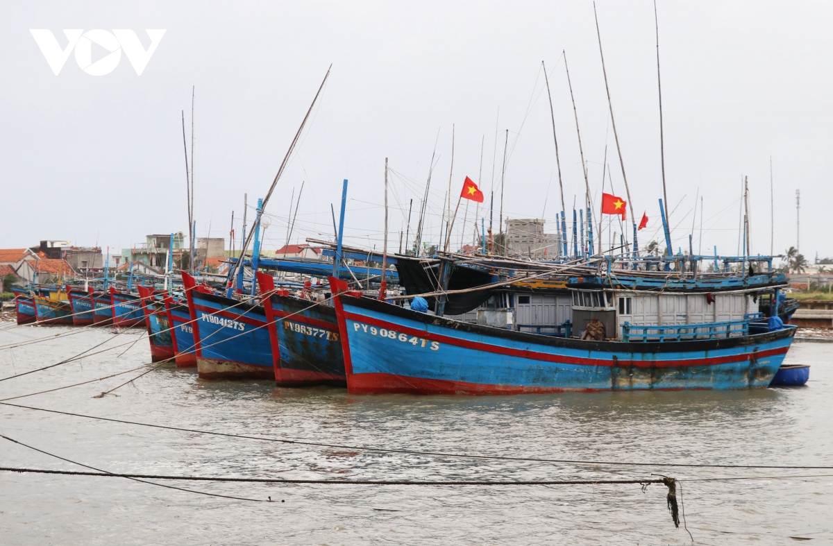 Các địa phương khẩn trương chuẩn bị ứng phó với bão số 9