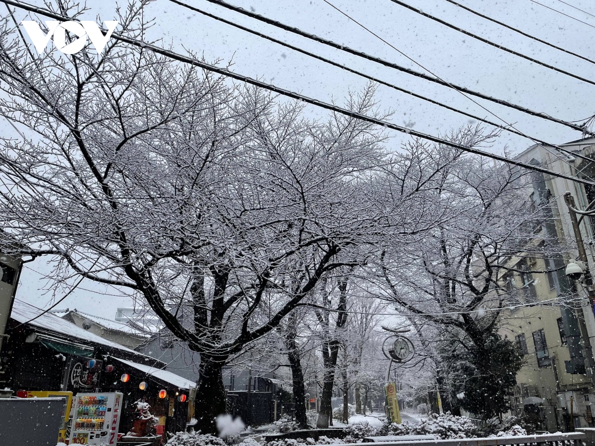 Tuyết rơi trắng xóa tại Tokyo, tạo nên cảnh sắc lãng mạn | VOV.VN
