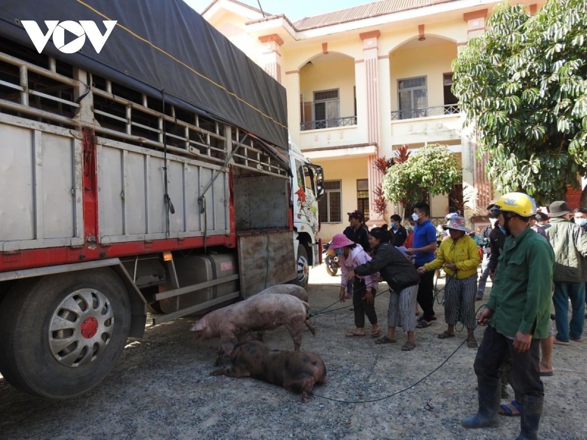 Dua tet den vung can cu cach mang tu mo rong, kon tum hinh anh 2