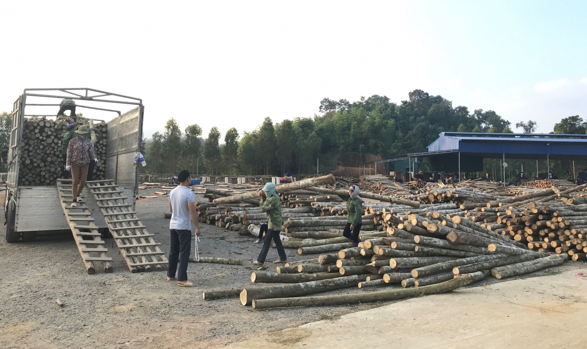 bac kan ky vong tu dot pha trong thu hut dau tu hinh anh 5