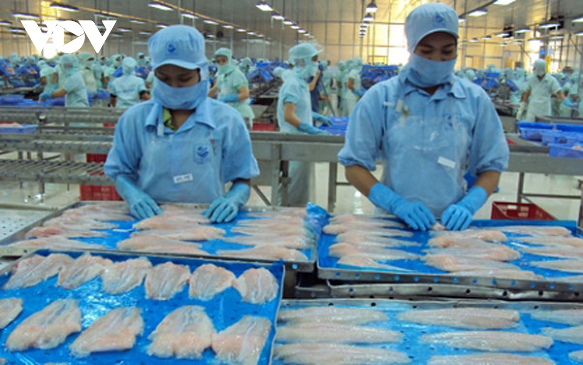 tra fish exports forecast to rake in us 1.7 billion in 2022 picture 1