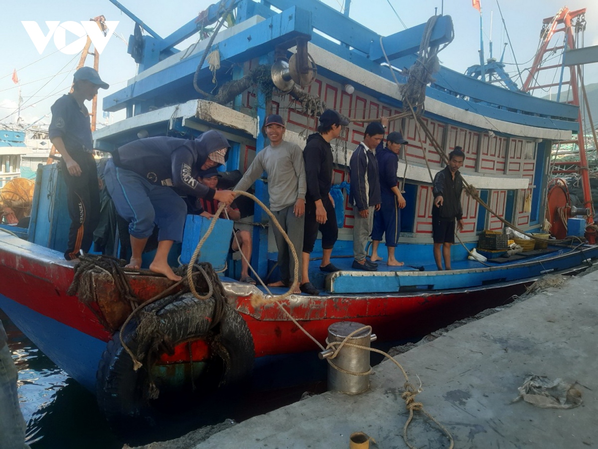 Dau nam moi, tau thuyen tap nap vao ra cang ca tho quang, Da nang hinh anh 2