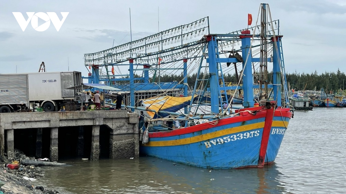 Ngư dân Bà Rịa – Vũng Tàu vượt qua một năm sóng gió
