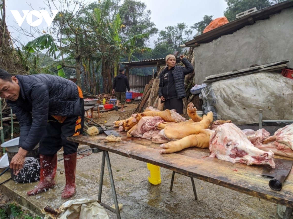 len mau son an tet nguoi dao hinh anh 1