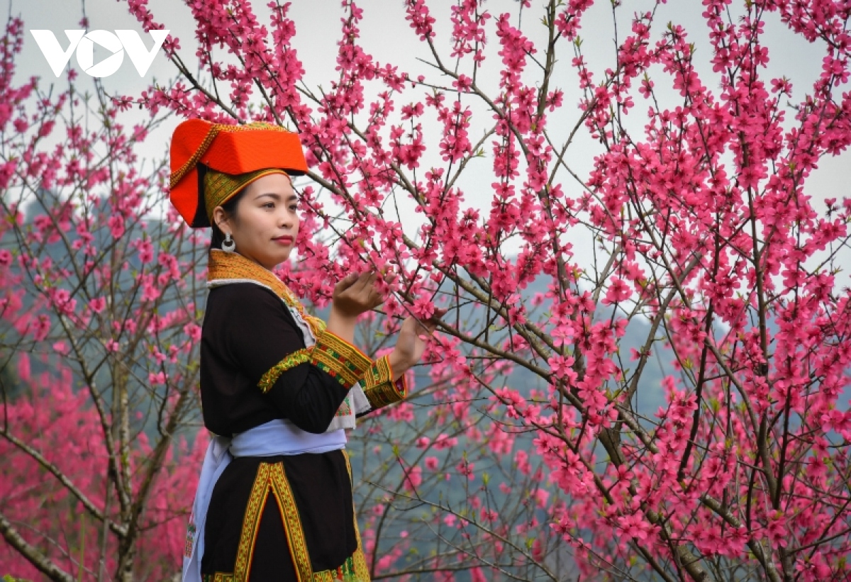 len mau son an tet nguoi dao hinh anh 4