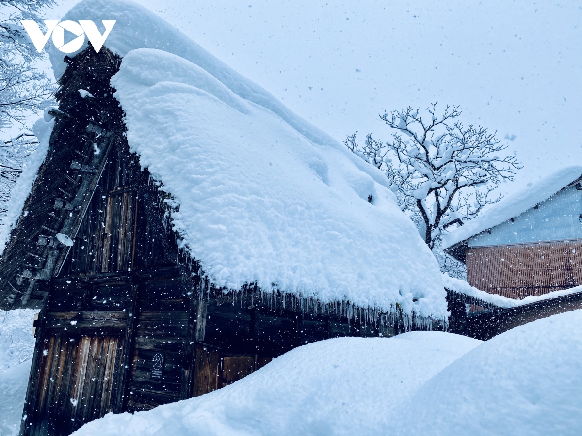 Ngẩn ngơ ngắm mùa đông cổ tích ở Shirakawa-go, Nhật Bản | VOV.VN