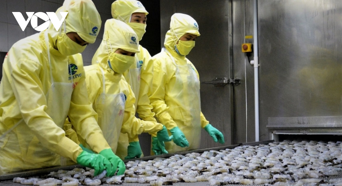 Positive outlook for shrimp exports in 2022