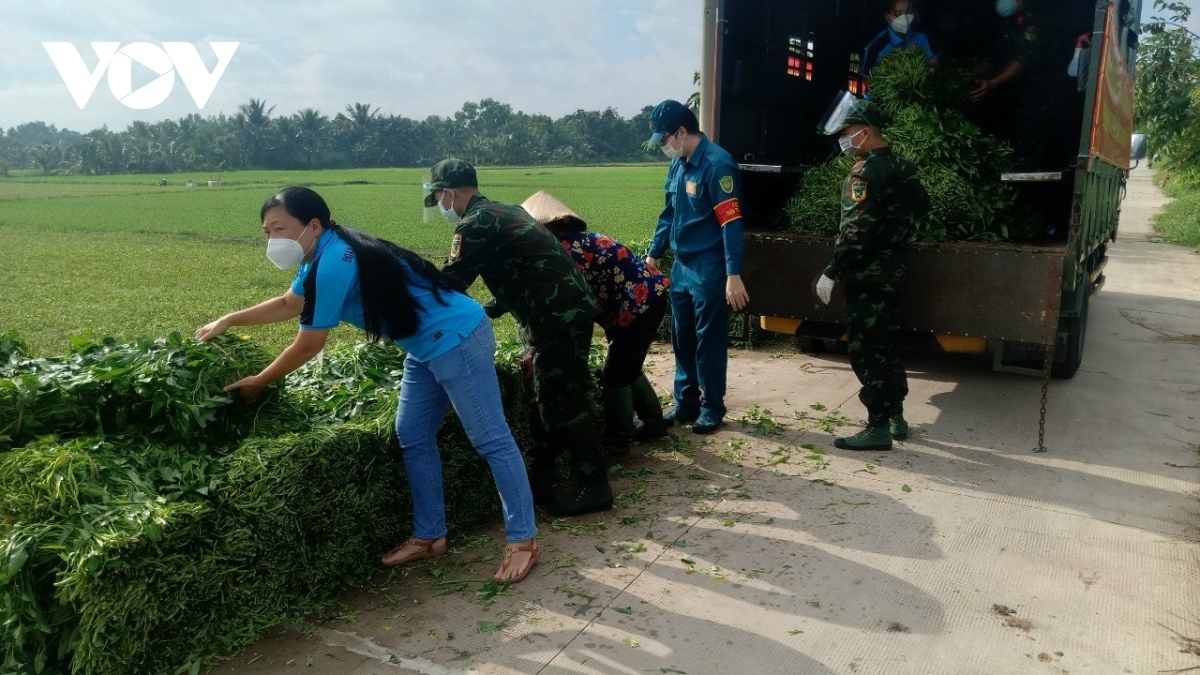 to chuc chuong trinh tet nghia tinh-xuan nham dan 2022 cho 3.000 ho nong dan hinh anh 2