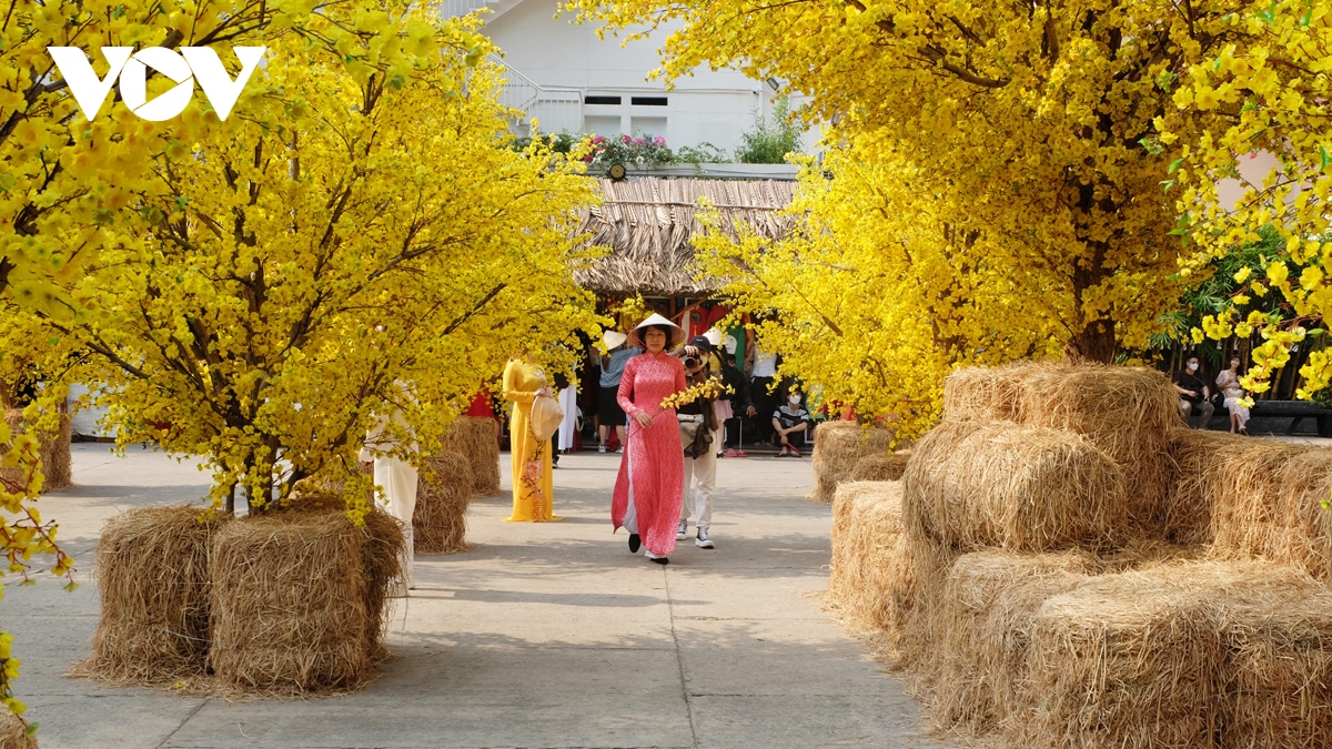 residents eager to explore pedestrian, flower streets ahead of tet holiday picture 3