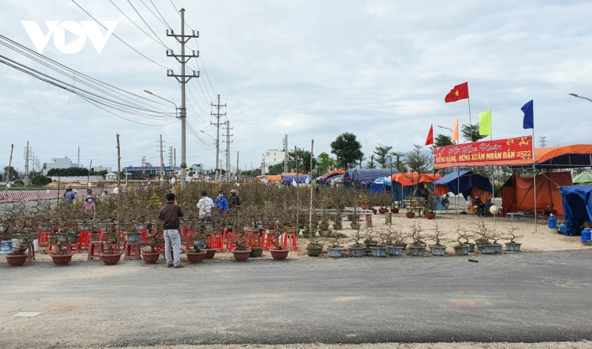 tram lang thi truong mai tet binh Dinh hinh anh 1