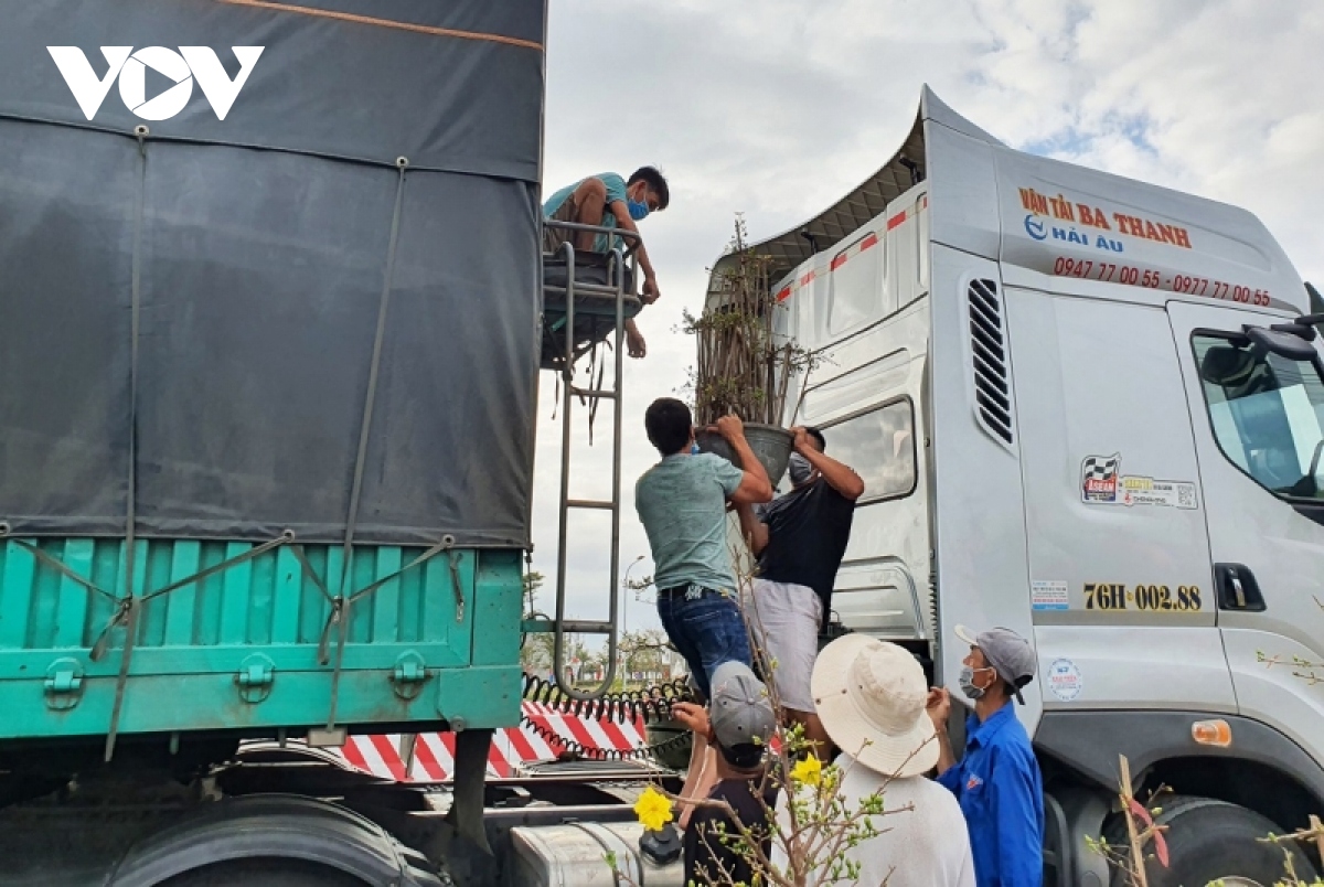 tram lang thi truong mai tet binh Dinh hinh anh 6