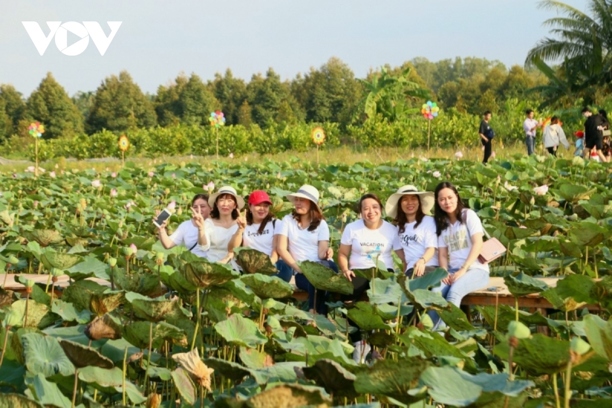  pho ong lang Diem du lich mien phi dam nghia tinh que huong hinh anh 4