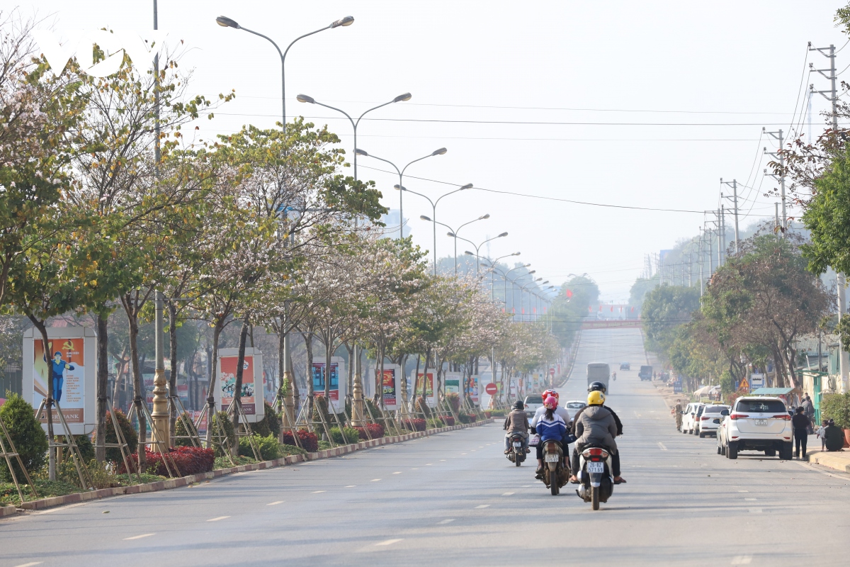 sac trang tinh khoi hoa ban giua pho nui son la hinh anh 1