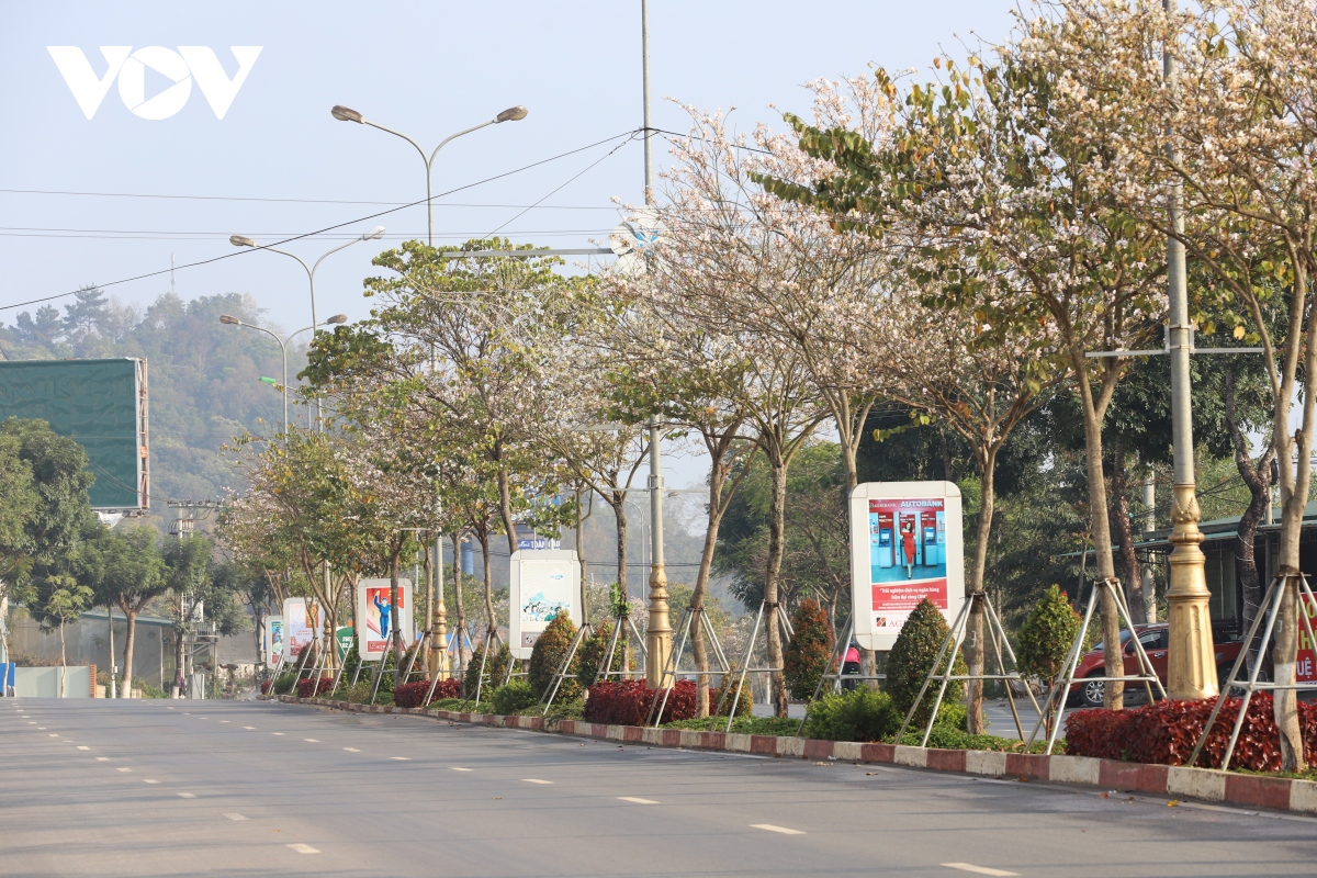 sac trang tinh khoi hoa ban giua pho nui son la hinh anh 2