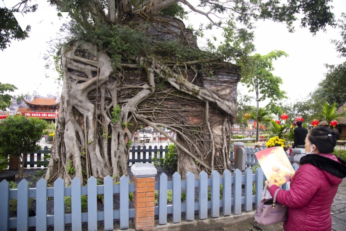 chiem nguong co tu 700 tuoi o quang binh hinh anh 2