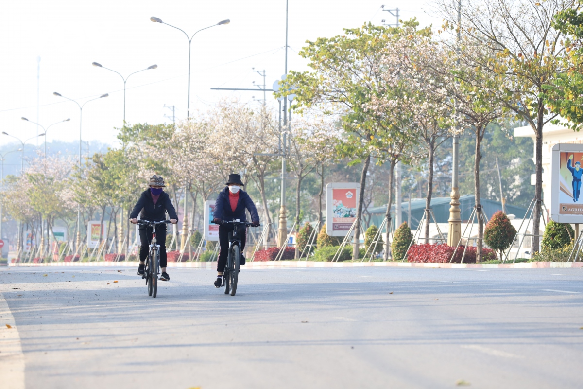 sac trang tinh khoi hoa ban giua pho nui son la hinh anh 4