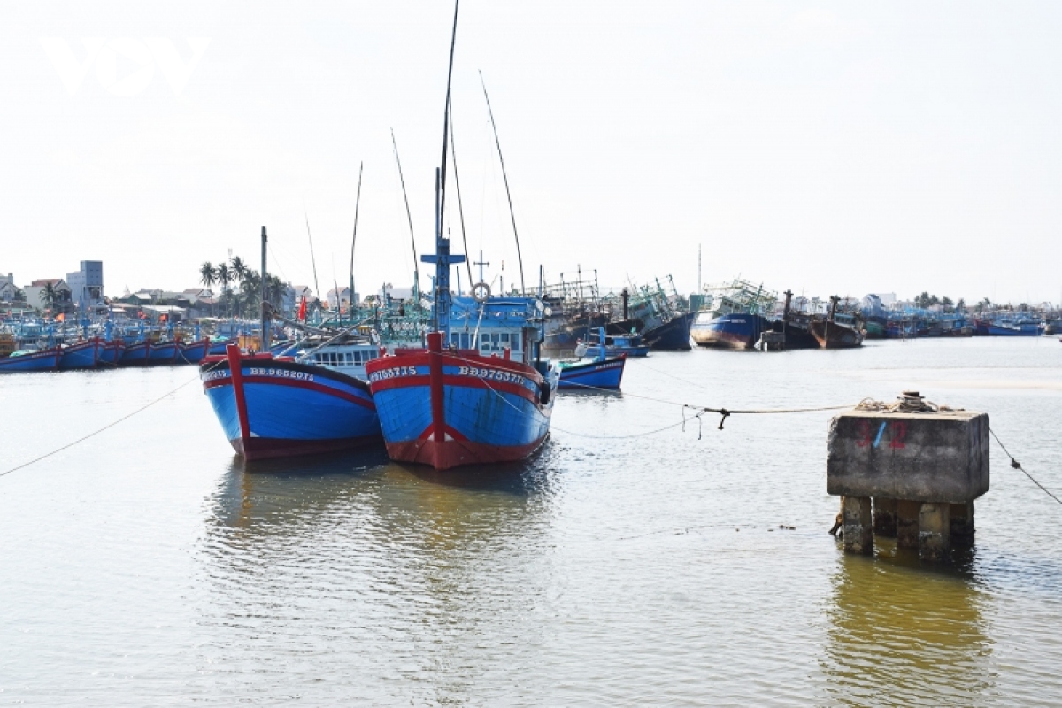 mot ngu dan binh Dinh bi lat thung, mat tich tren bien hinh anh 1