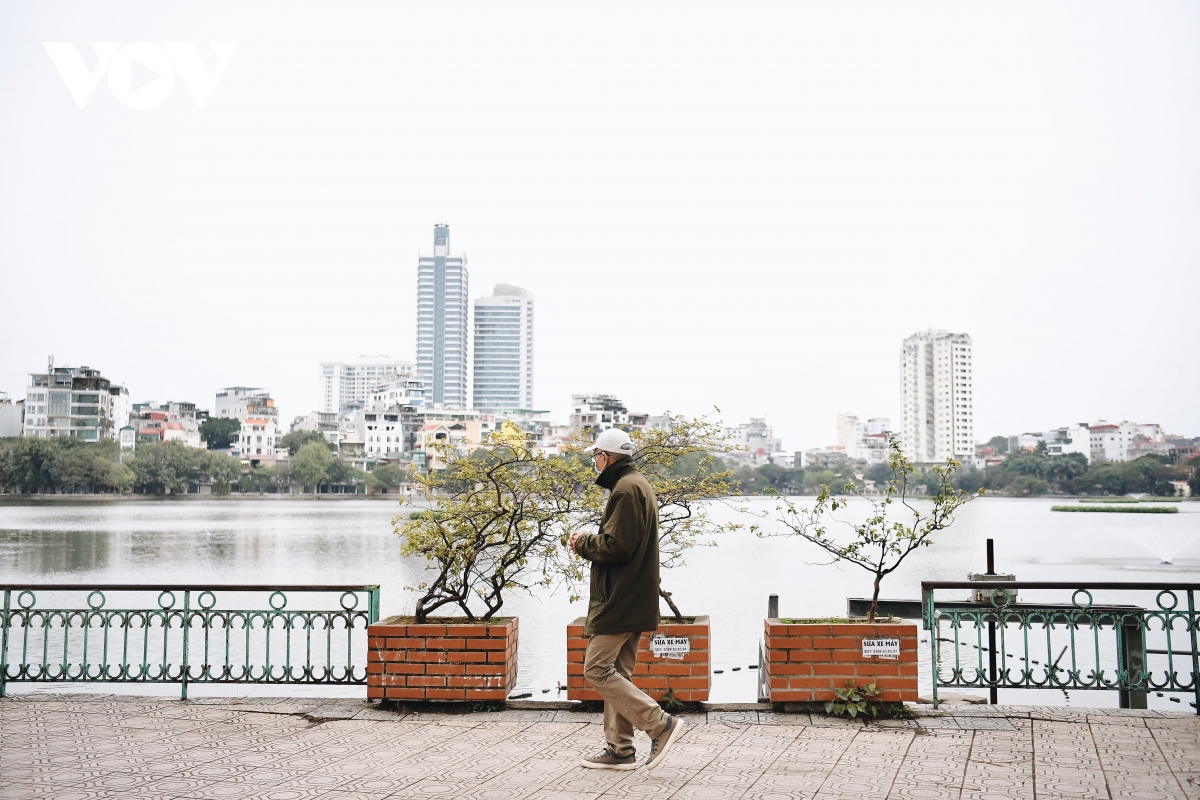 ngam ha noi binh yen sang mung 1 tet hinh anh 4