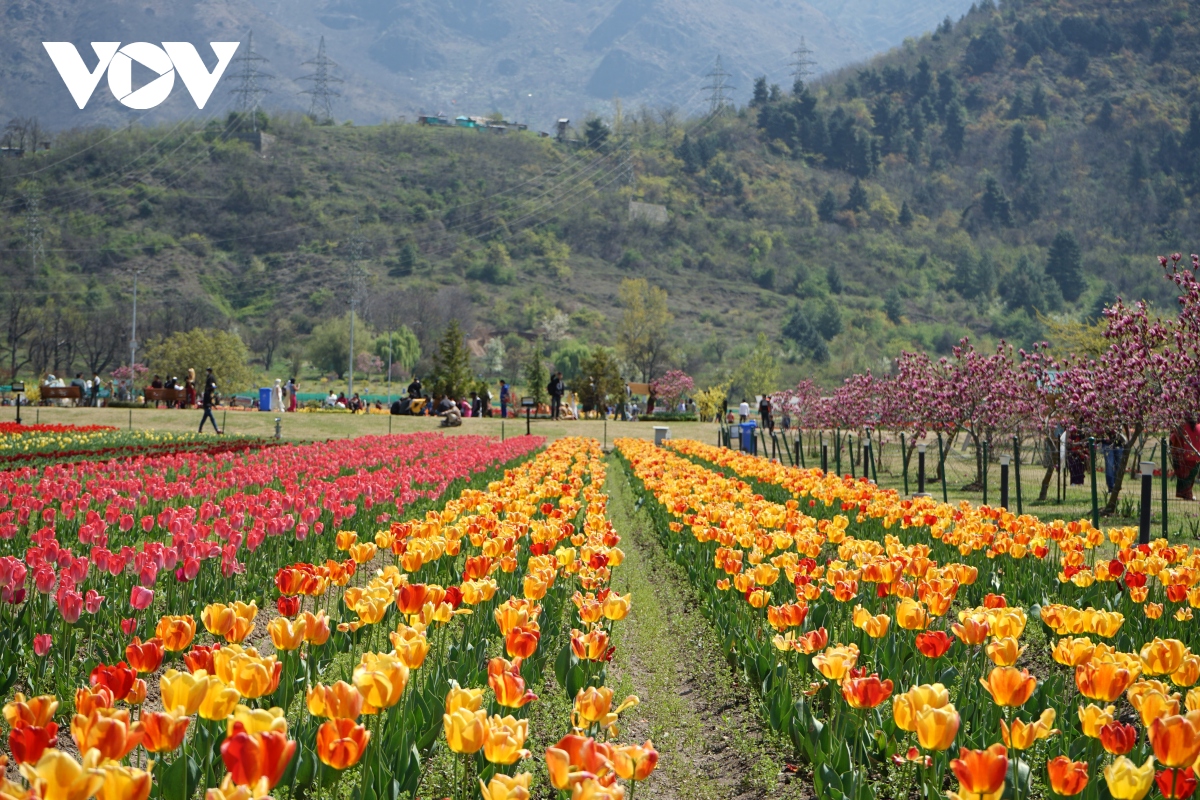 nghi nha thuyen tren day himalaya hinh anh 9