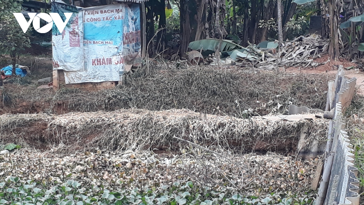 nhiều hộ dân ở yên bái khốn khổ vì công ty chế biến gỗ hình ảnh 4 nhieu ho dan o yen bai khon kho vi cong ty che bien go hinh anh 4