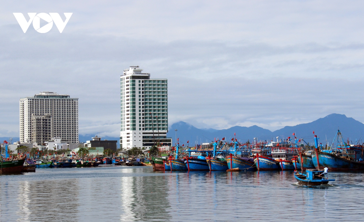 cang ca tho quang, thanh pho Da nang vang ve ngay mung 2 tet hinh anh 4