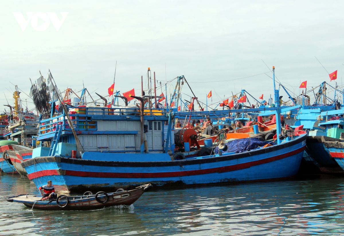 cang ca tho quang, thanh pho Da nang vang ve ngay mung 2 tet hinh anh 9