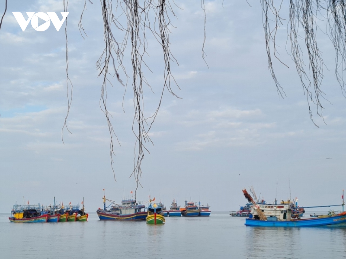 ngu dan co gang ra khoi chuyen bien dau nam du gia xang dau tiep tuc tang cao hinh anh 1