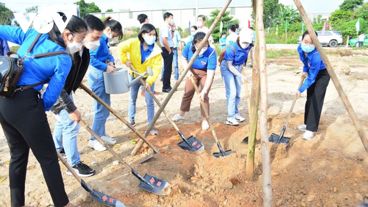 Đà Nẵng, ra quân “Tết trồng cây”