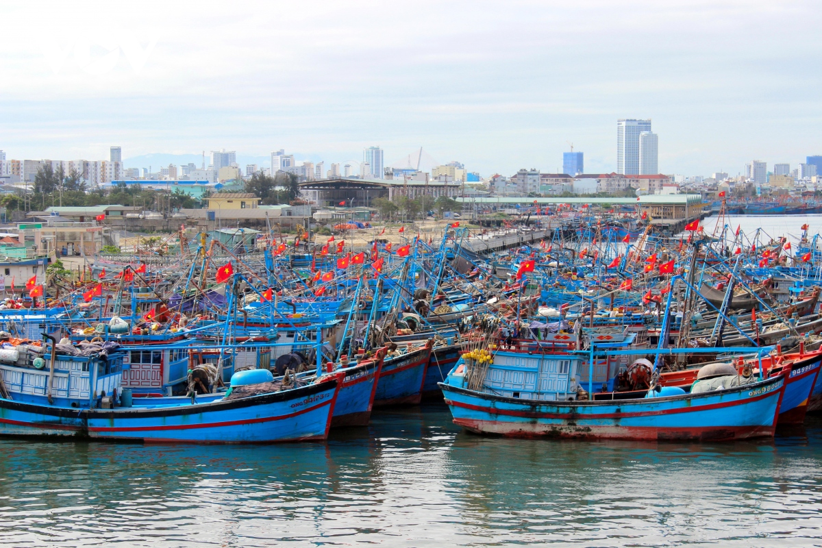 cang ca tho quang, thanh pho Da nang vang ve ngay mung 2 tet hinh anh 2