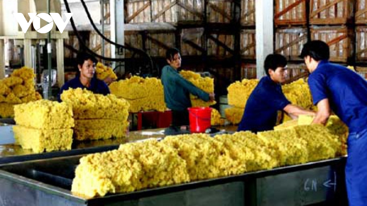 10 biggest rubber import markets increase purchase of vietnamese rubber picture 1