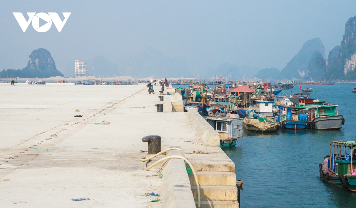 quang ninh chung tay go the vang thuy san hinh anh 3